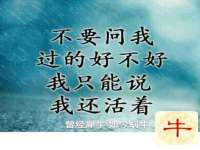 淮安飞缘龙网络科技有限公司