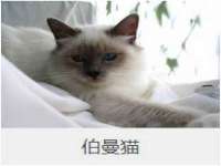 淮安飞缘龙网络科技有限公司
