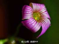 淮安飞缘龙网络科技有限公司