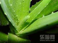 淮安飞缘龙网络科技有限公司