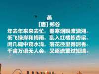 淮安飞缘龙网络科技有限公司
