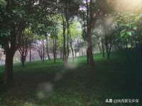 淮安飞缘龙网络科技有限公司
