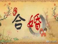 淮安飞缘龙网络科技有限公司