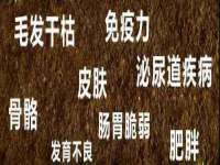 淮安飞缘龙网络科技有限公司