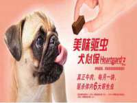 淮安飞缘龙网络科技有限公司