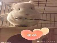 淮安飞缘龙网络科技有限公司