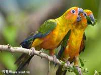 淮安飞缘龙网络科技有限公司